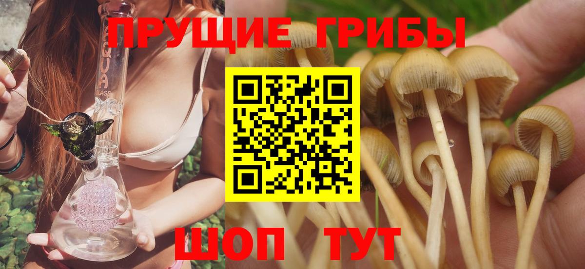 Псилоцибиновые грибы GOLDEN TEACHER Ростов-на-Дону