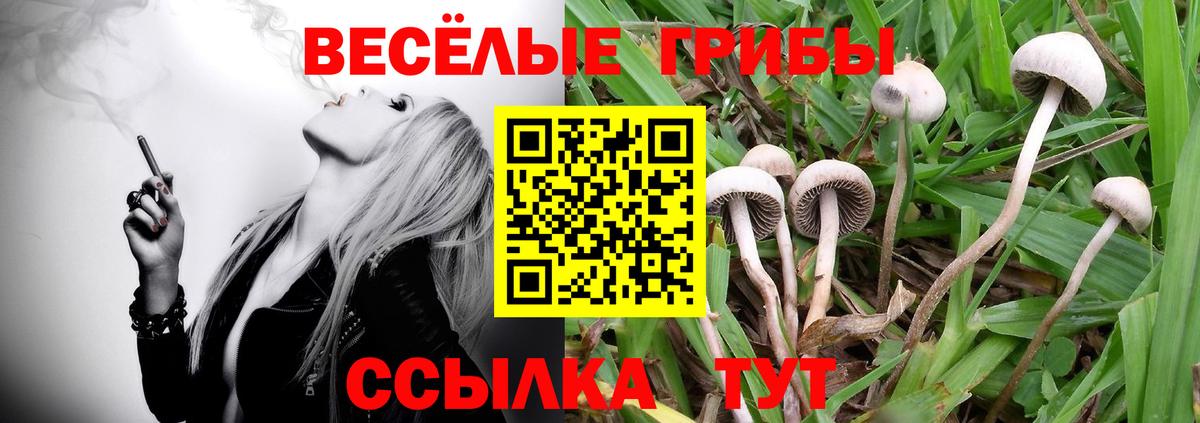 ГАШИШ Ростов-на-Дону